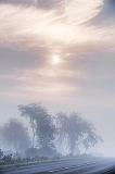 Clouded Sun Over Fog_20521